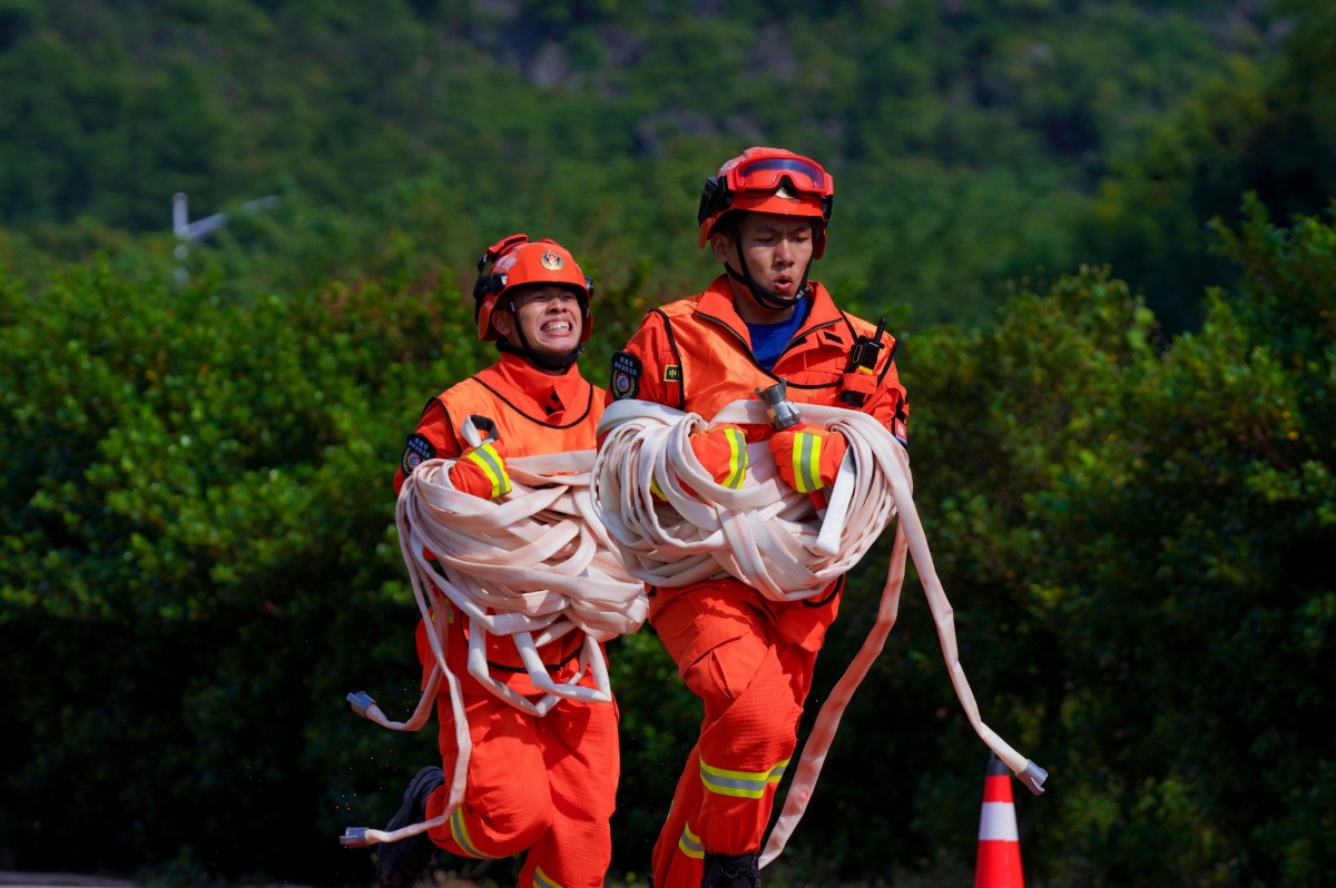 ��ȼ�������ٰ�ɭ�ַ�����ܴ����