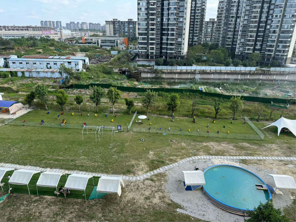 公园变宠物游乐场？南宁一小区业主质疑商家违规用地