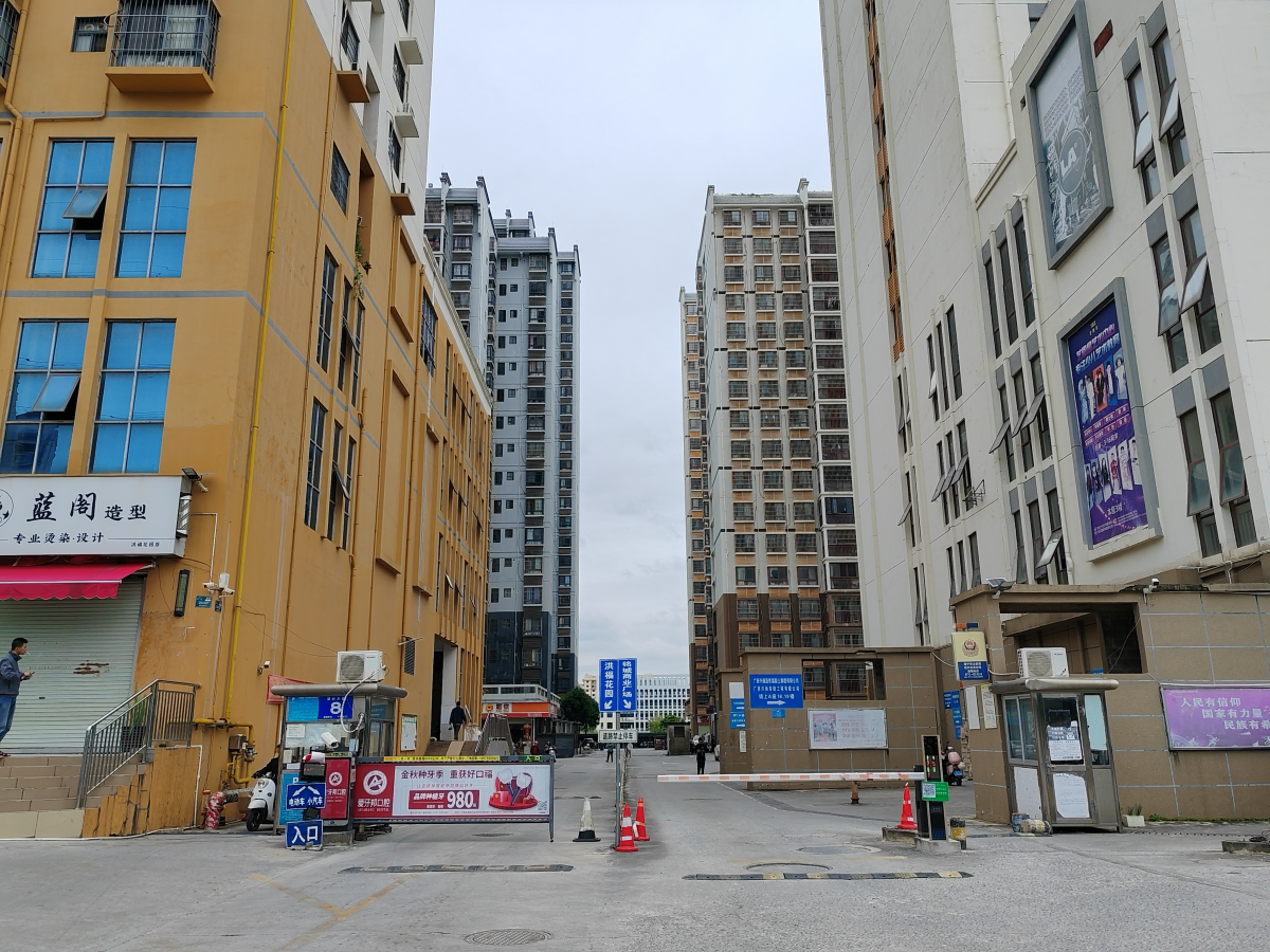 “猴哥”再次现身南宁高楼间，为何迟迟未“落网”？