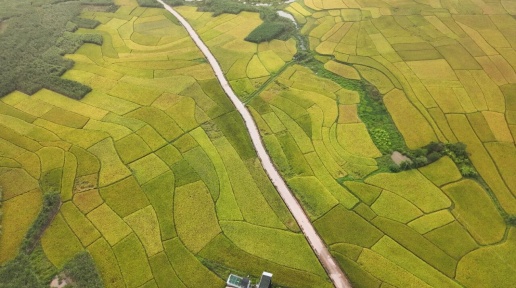 de^(q)2.12f_ C(j)еոww}