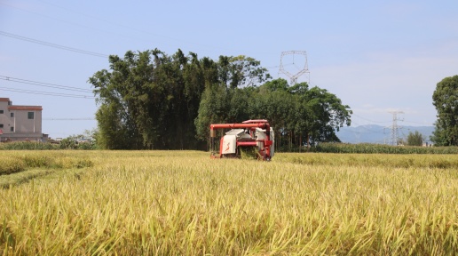 ƽՈDl(xing)2.95f_ ww}