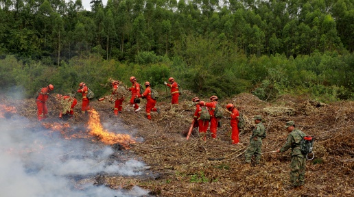 o˙C(j)Ѳ ಿT(lin) ﶬСС