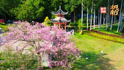 ό޶߽ϳF(xin)һ÷ɫ޻ǡ