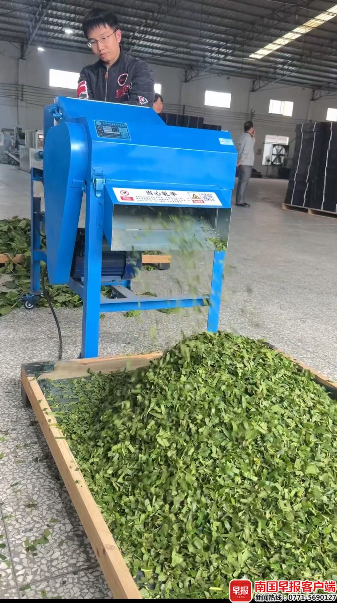 特色物产抢先看！2025智慧农业博览会、广西国际农业博览会将在南宁召开(图2)