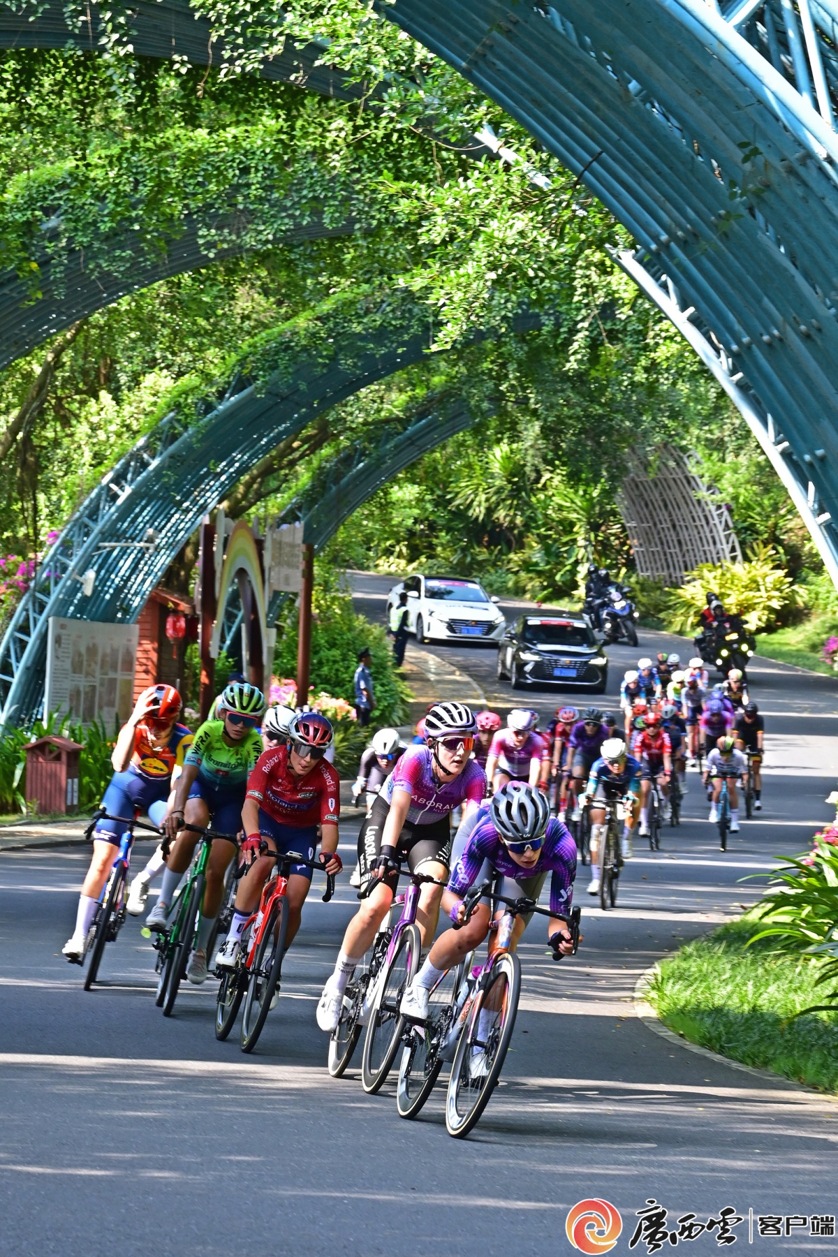 车轮绘就八桂画卷2025环广西世巡赛续写传奇!(图4) 车轮绘就八桂画卷2025环广西世巡赛续写传奇!(图4)