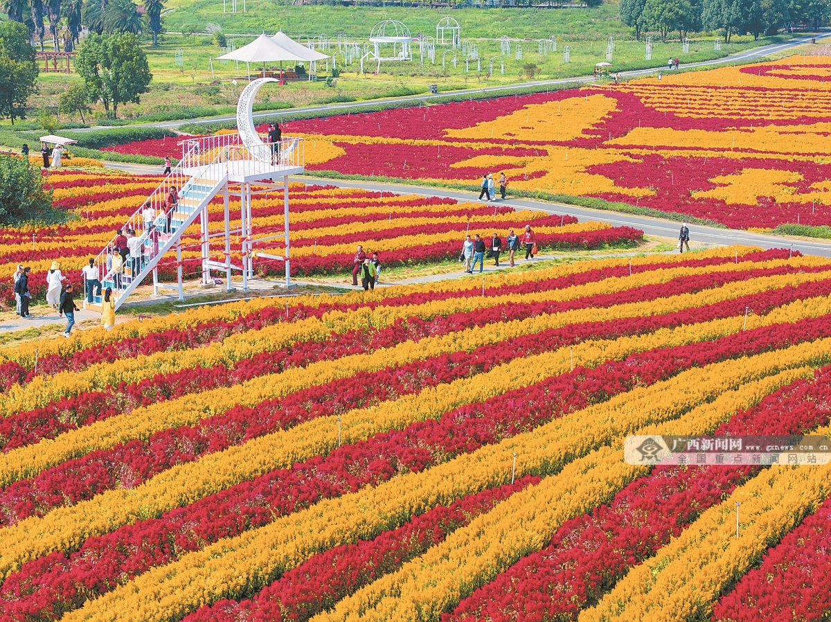 10��27�ս���ͼ