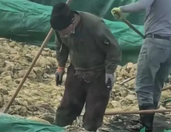 男子在酸菜池中全程抽烟还随口乱吐？当地通报