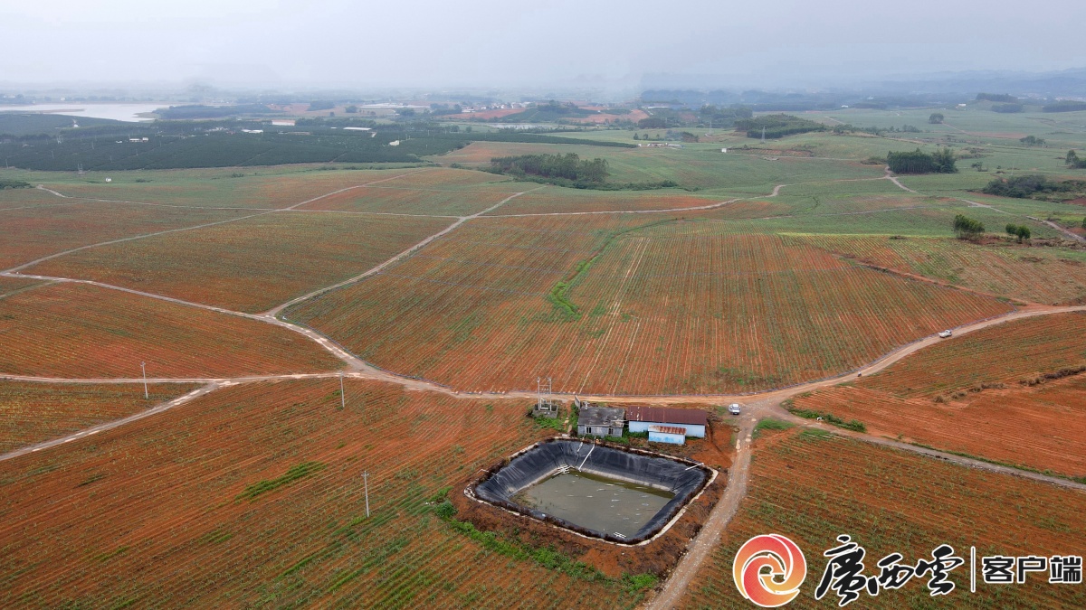 广农糖业建设灌溉取水工程助力甘蔗提质增产(图1)