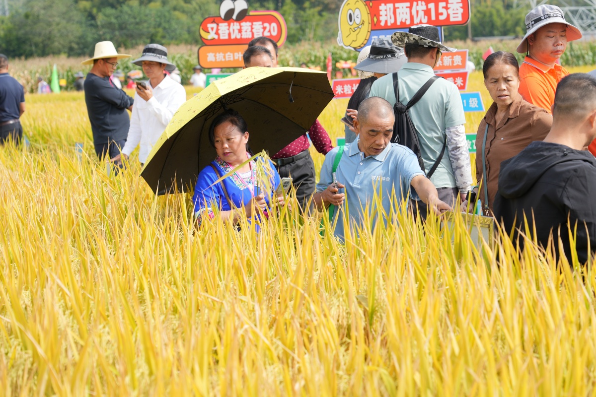 �����Ĵ����ж��㣿��22�����������ѡ�֡������㳢