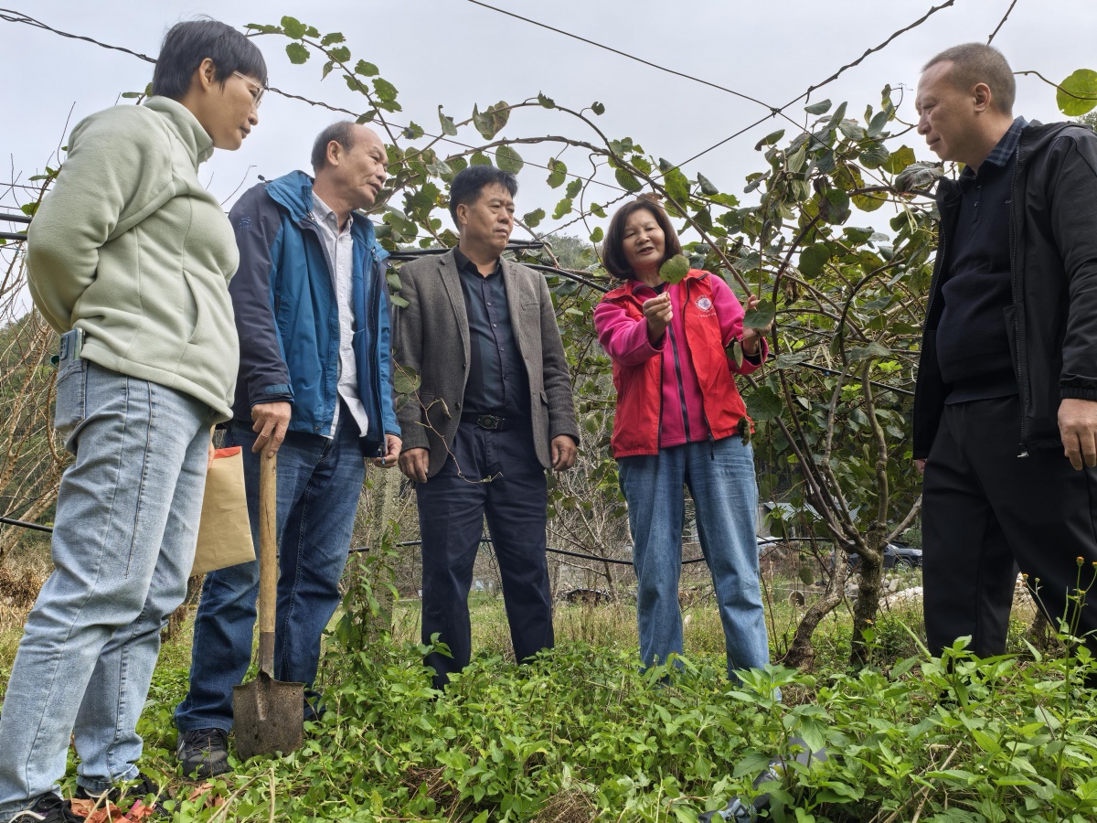 60+科技天团重阳节“硬核”过节！田间地头狂圈粉