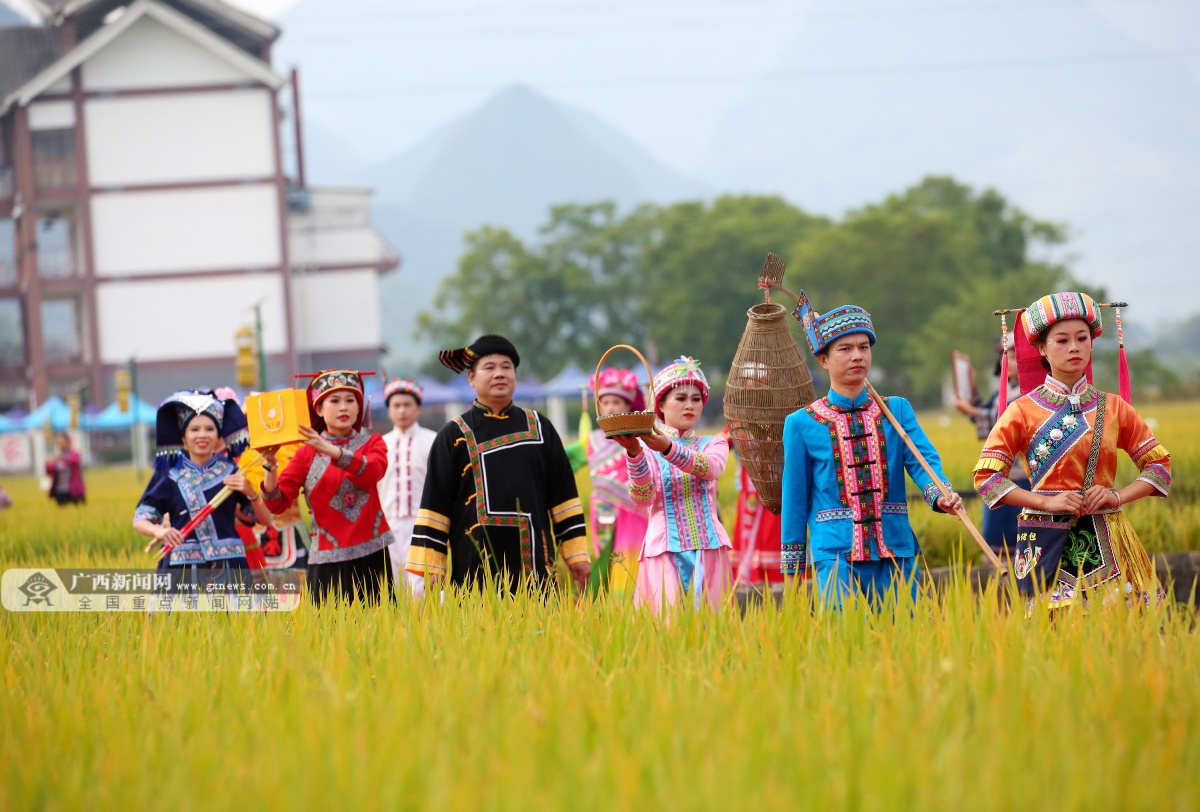 10��29�ս���ͼ