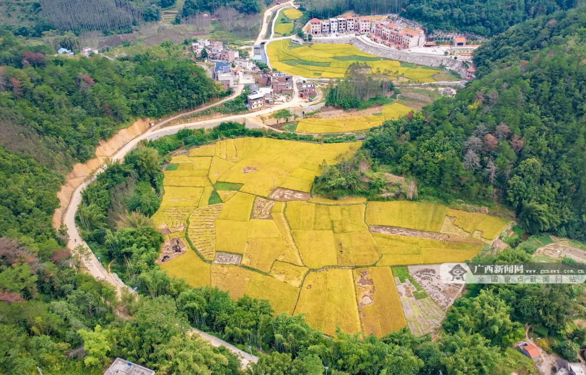 10��29�ս���ͼ