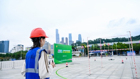 o˙CwԽߵ͸ hɏqΣVrFIِܸc