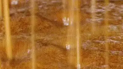 ֳ | ԽԽ𡱣ó28Ƿ300ҵ