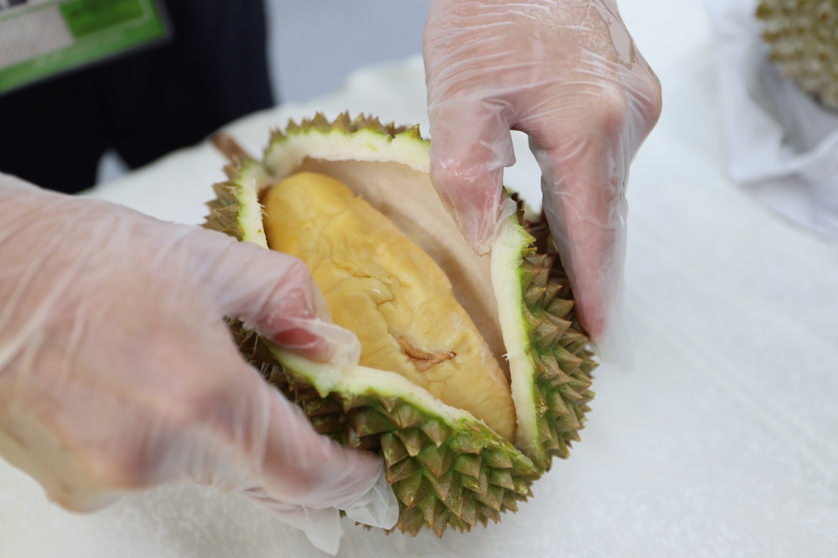 榴莲特级果长啥样？从东盟进口的有标准了