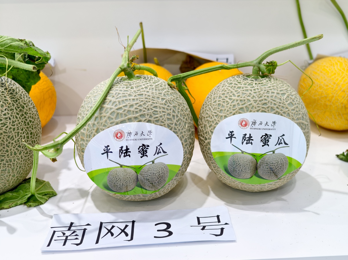 科技赋能+书记带货，农博会上亮点满满