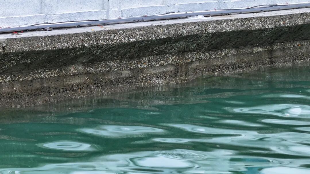 天文大潮如期而至！北海这些地方“水浸街”→(图2)