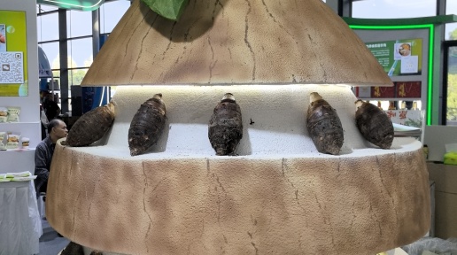 VՈ^l | AI ҊȫaIܻD^