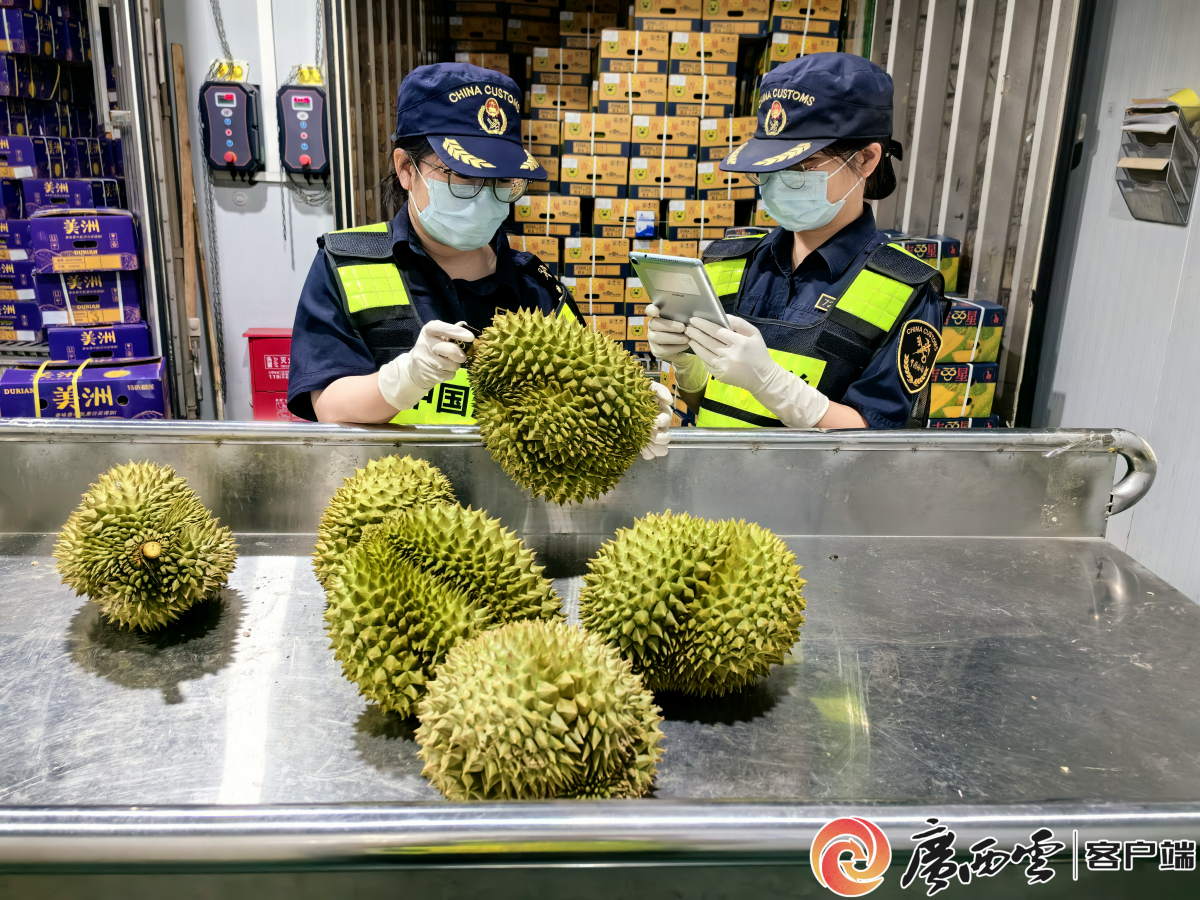 开云网站：进出口货值首破千亿元！爱店口岸靠啥实现跨越发展