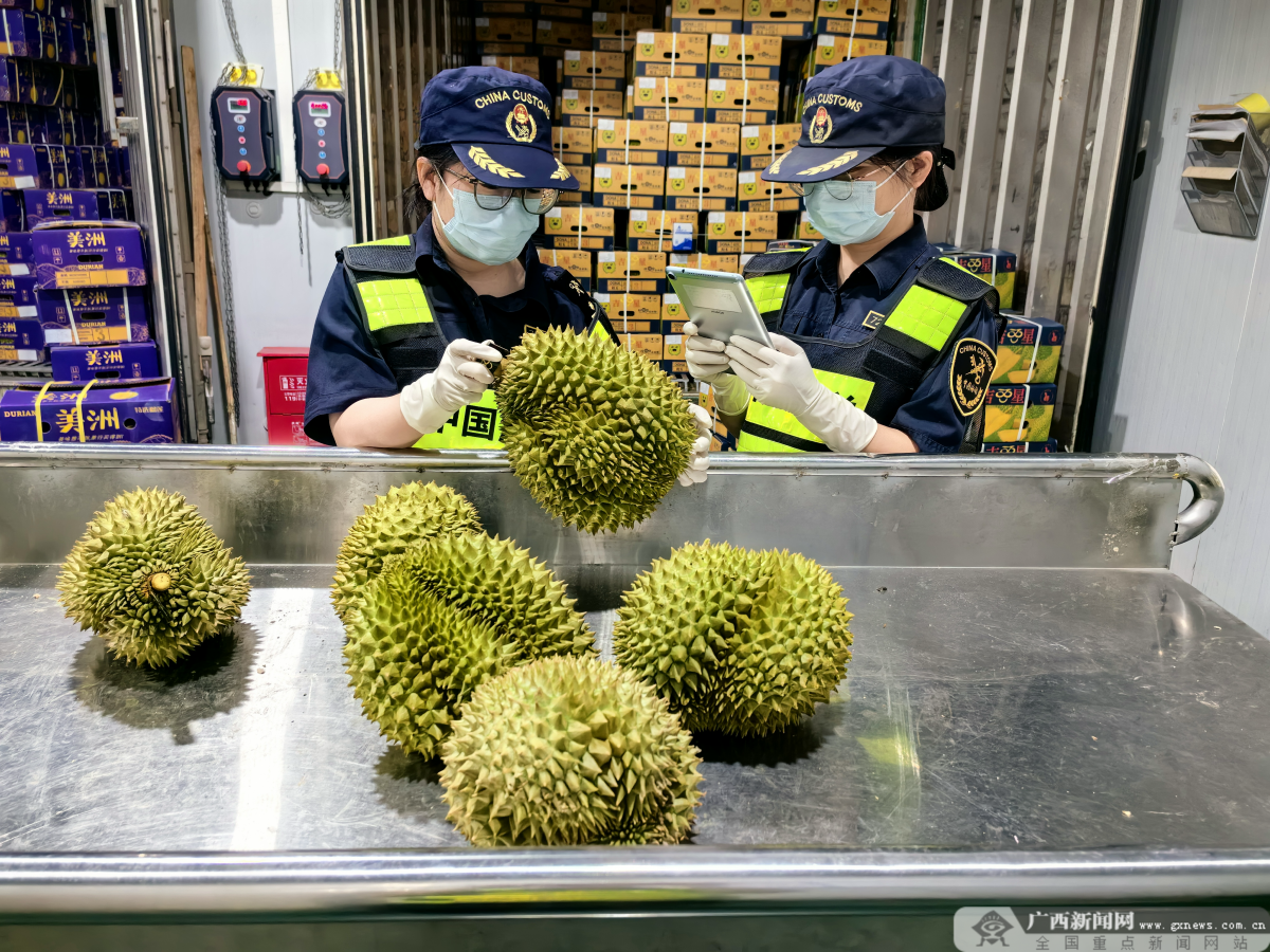 广西日报崇左头条进出口货值首破千亿元！爱店口岸靠啥实现跨越发展(图2)