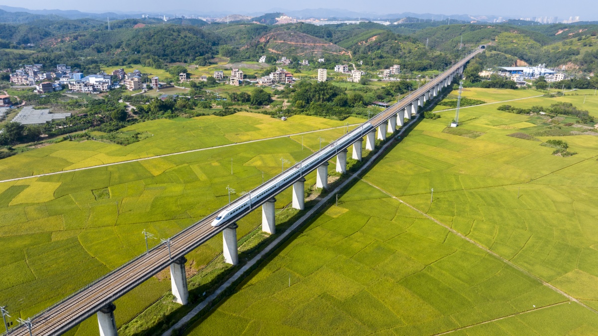 最低4折！广西60余趟动车组列车票价打折优惠