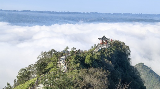 ڬF(xin)Xl(xing)ƺ̎к