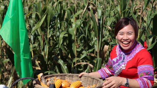 +x+cSգó@DŮxܻӸ؛MM