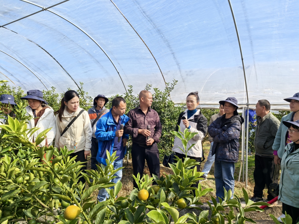 ��ʤ�����帰�ڰ�ȡ����۾�������ֲ������չ��۲�ҵ���е��ˣ�