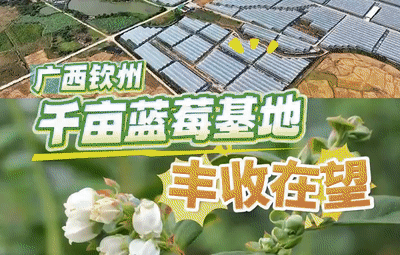 960̽LVҎ(gu)ģܻ{(ln)ݮNֲ