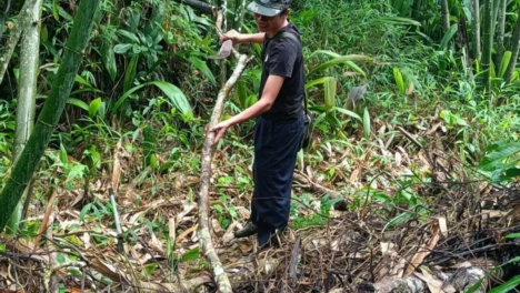 2025ꡰ߅P(gun) nv˵߅