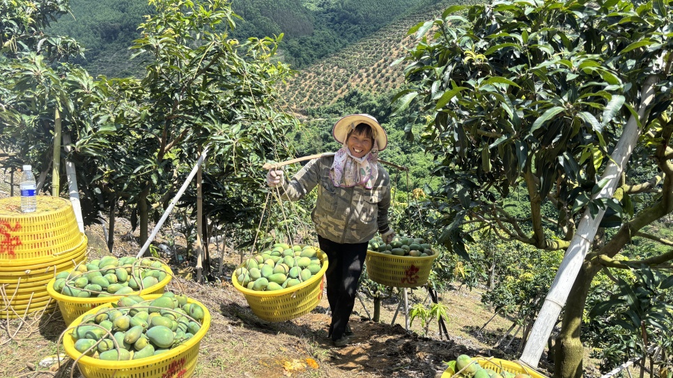 Ի͡ʮ塱 ׳´حȲģԷƶƶ