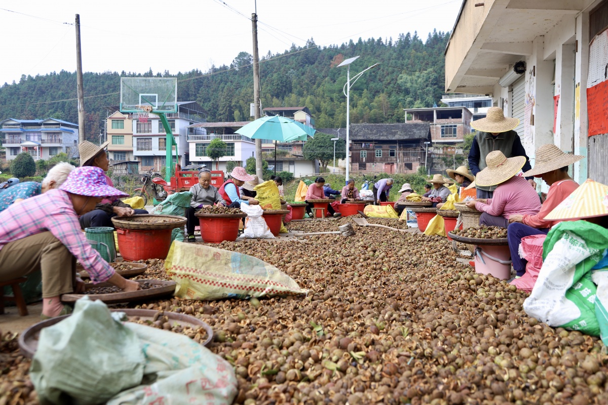 ���������� | �Ͳ��Ʈ�� ũ������æ