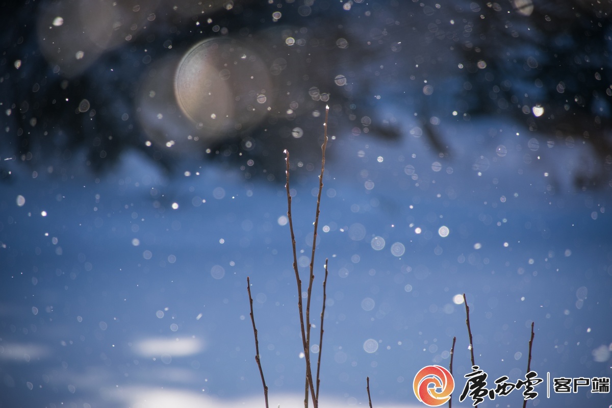 二十四节气·寻味广西丨小雪