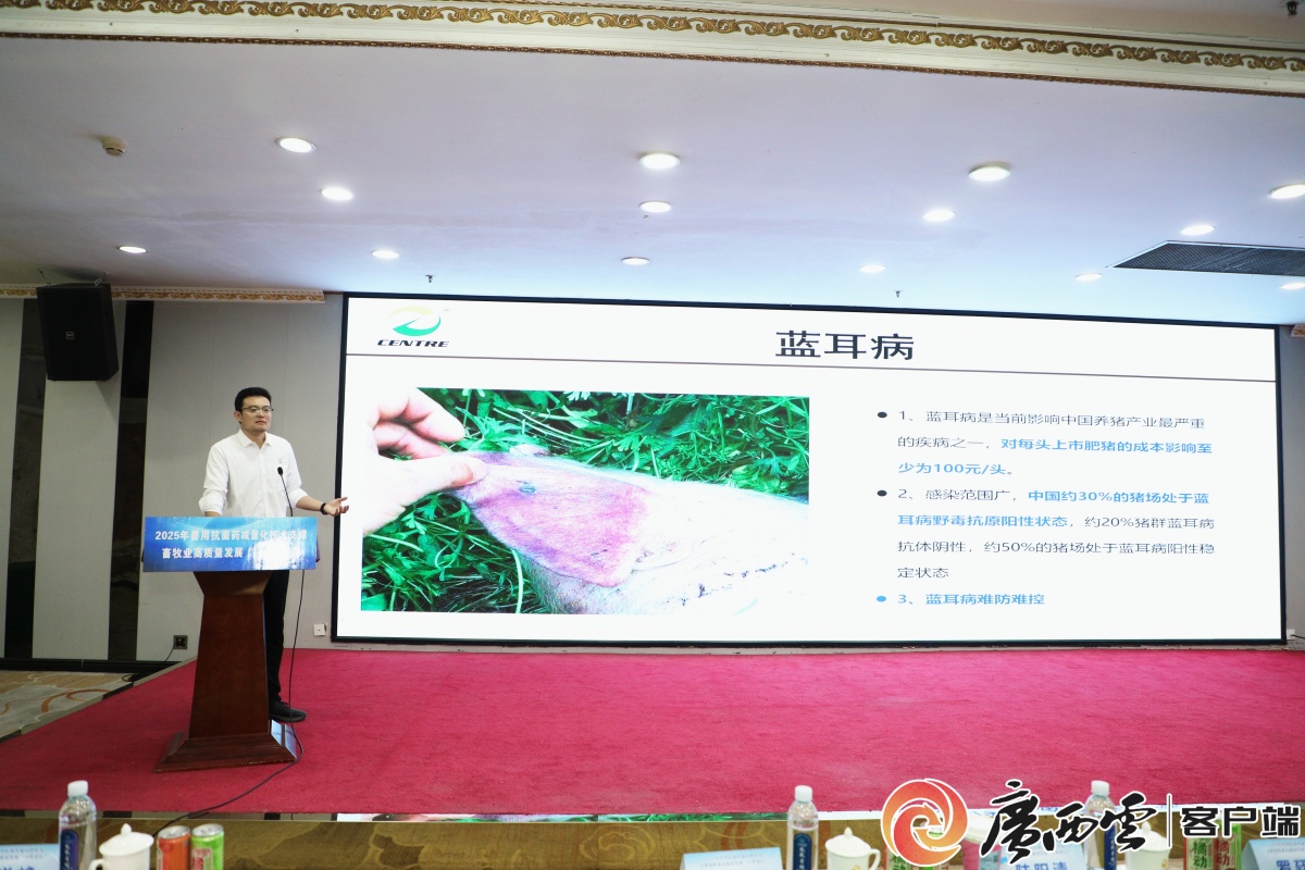 2025“八桂论坛”聚焦兽用抗菌药减量化助力广西畜牧业迈向新高度(图4)
