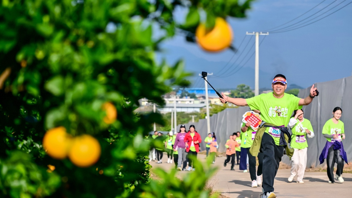 2025��ȫ�������ڸ����չ�