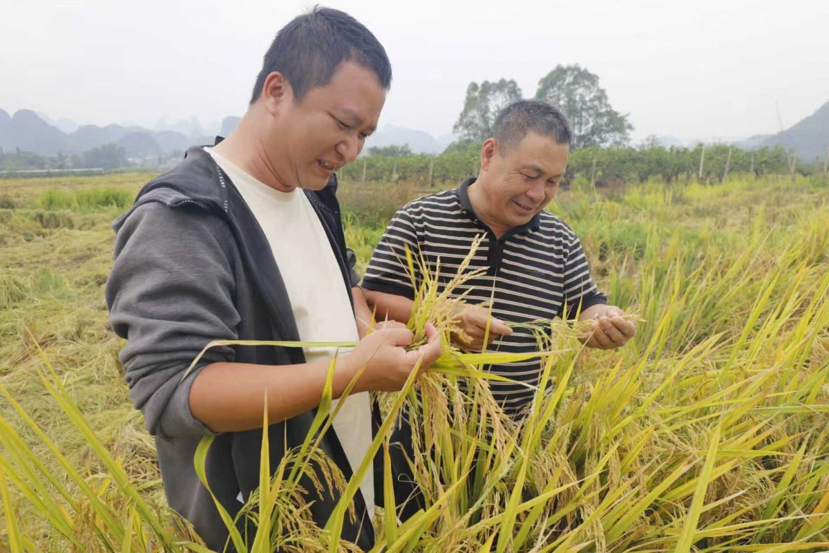 ���֣���ѧ����������ͽ�ɫ����ͼ��