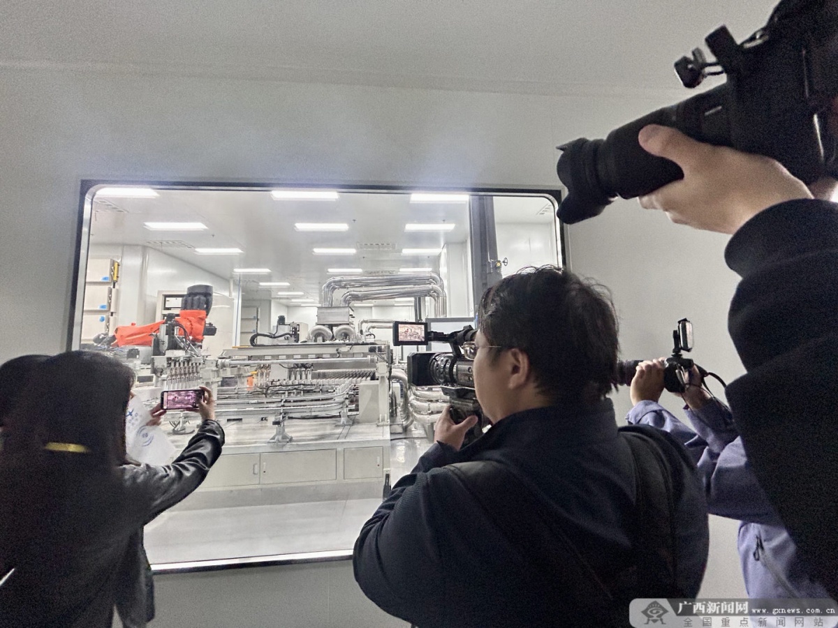 抢滩东盟！广西这个园区成新能源企业出海热土(图3)