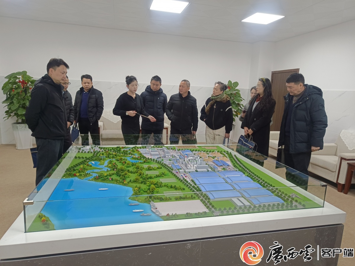 挚旗奋进实干争先⑥｜党旗飘扬在工地高效服务暖人心——党建引领贵港住建事业高质量发展(图3)