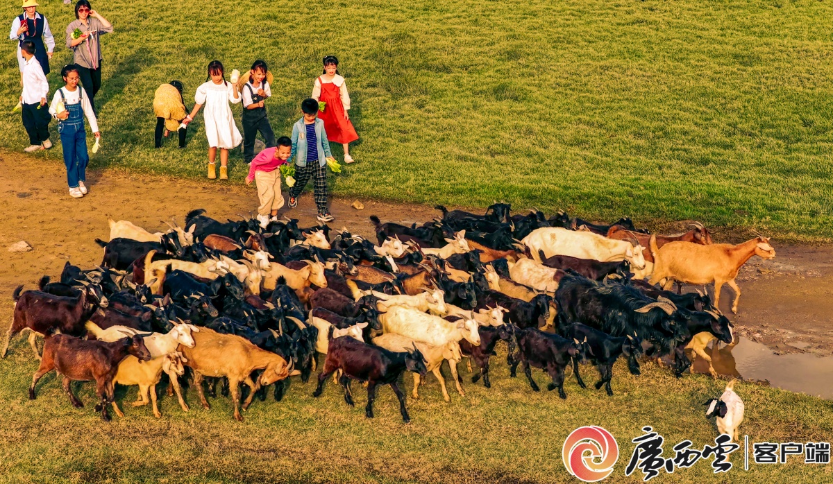 党江金滩 “北海阿勒泰”瓦力棋牌试玩我在