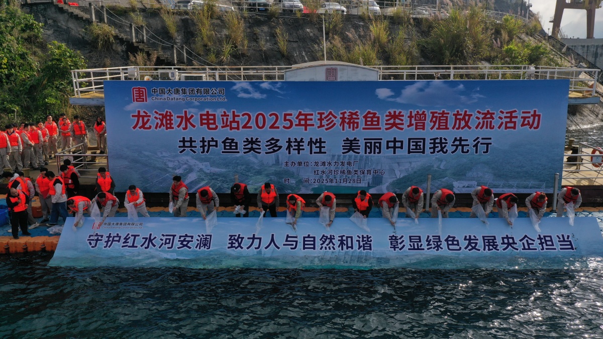 ���Ҷ�����������֥�齣�ɹ��˹������Ź�ح20��β��ϡ��������̲���������ֳ����