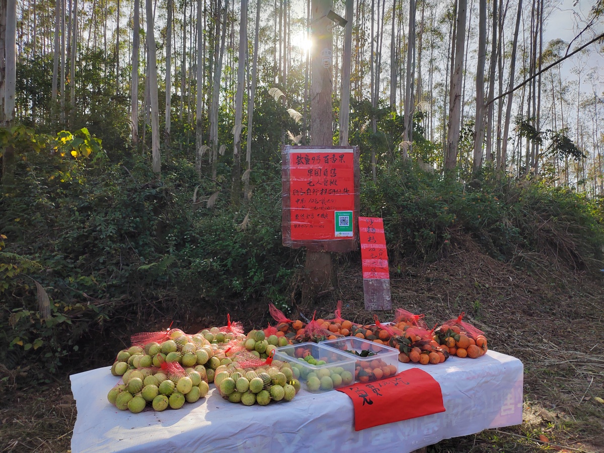 老板“摆烂”，结果却出人意料！钦州这个无人果摊近20天零逃单