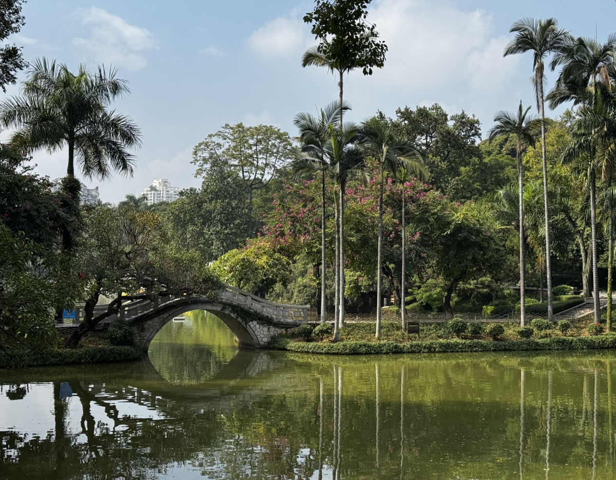 较强冷空气来了，广西局地最低气温或降至-1℃！