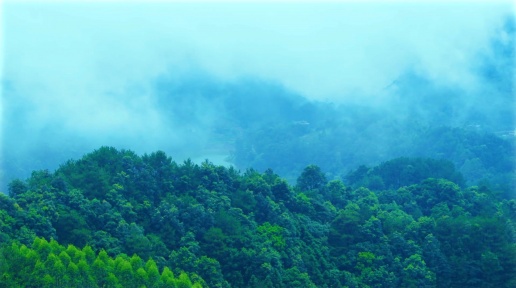 ��ƽ��������̬�Ƹ����� ����ˮ��ɽ�䡰��ɽ��ɽ��