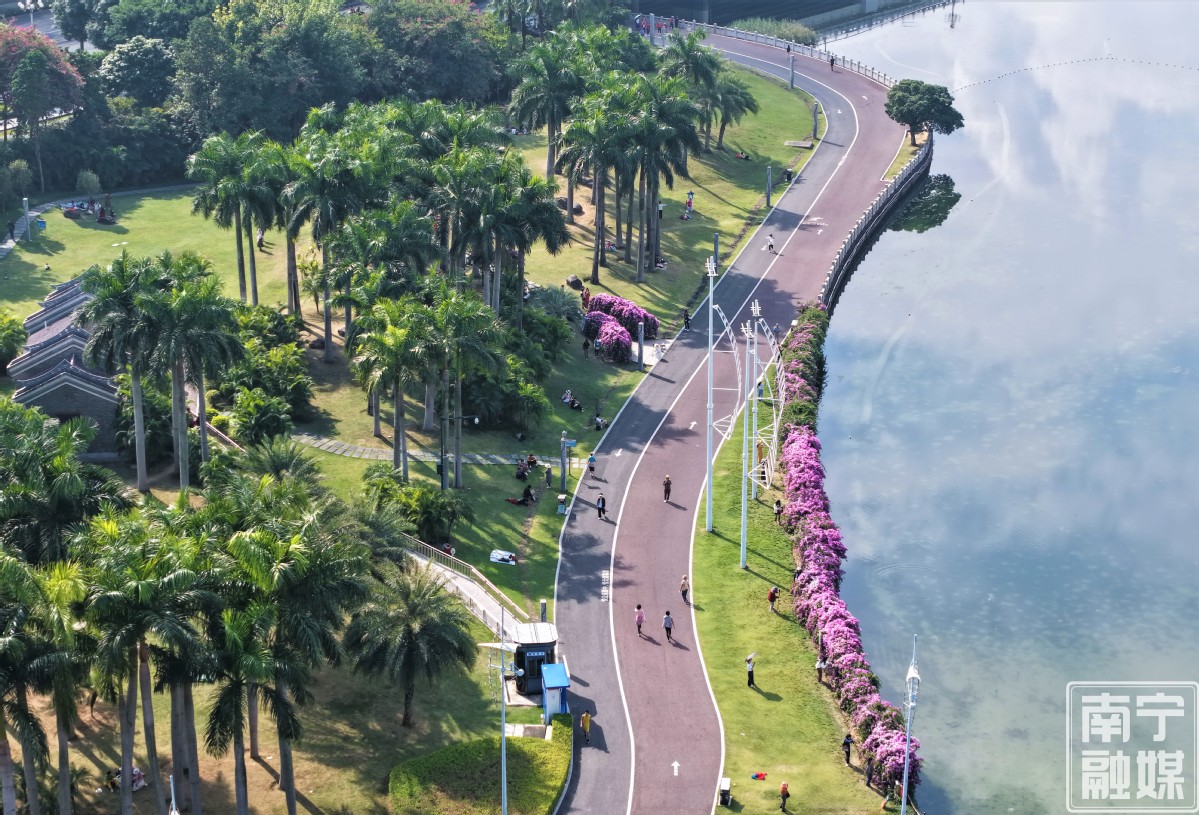 九游娱乐：从“公园城市”到“生态可达”！南宁书写城市宜居梦想(图3)