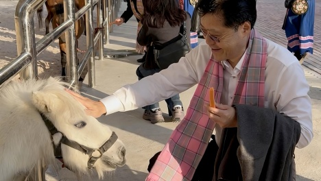 �������� ����ɽ�� �������硪���ڹ��⼮��ʿ���۰�ͬ�������̴����ηù�������