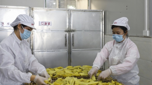 ���ݣ���ɽ��������Ʈ �����ҵ����ɫ