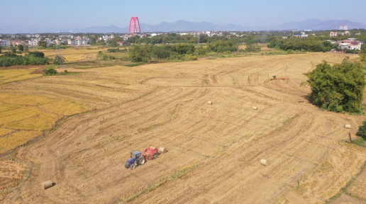 ƽ�ϣ��ýոѱ��Ϊ��