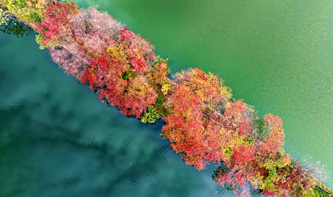 ���ֶ����޶�����һ�����ܴ�����ЩС�ڳ�Ƭ�򿨵ء�