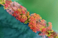 ֶ޶һܴЩСڳƬ򿨵ء