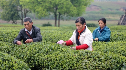 �˹��ӵ� | �ı䣬�ӡ�һ���衱��ʼ�����������������˼�ߴ���������������������